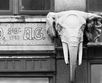 Leipzig, Germany, 1996